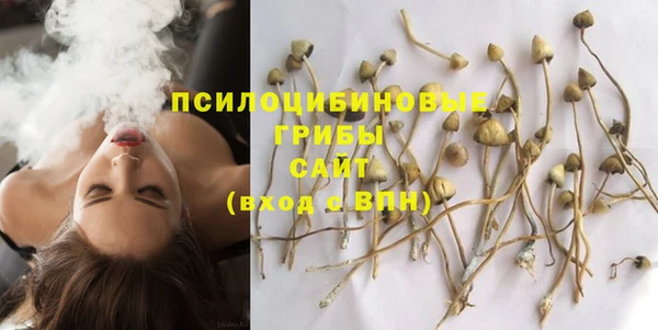 прущая мука Белокуриха