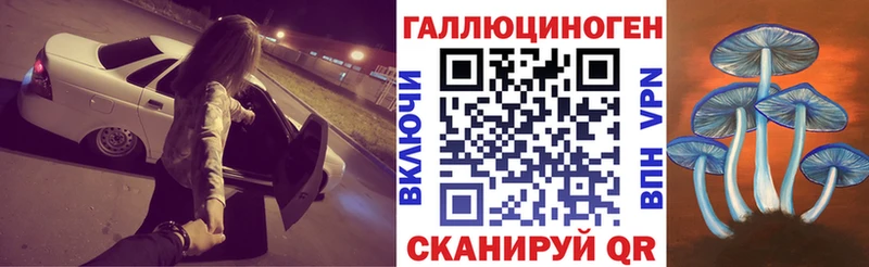 MEGA онион  Циолковский  Псилоцибиновые грибы MAGIC MUSHROOMS 