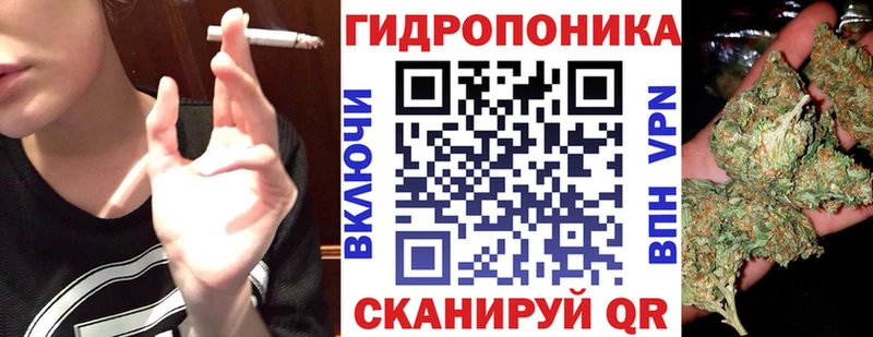 Шишки марихуана THC 21%  где купить наркоту  Циолковский 